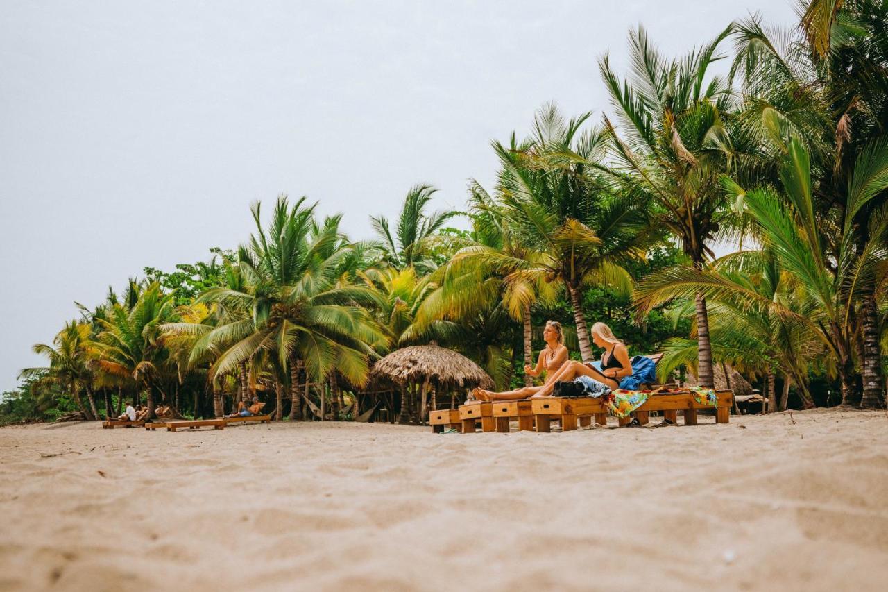 Viajero Tayrona Hostel & Ecohabs Buritaca Εξωτερικό φωτογραφία