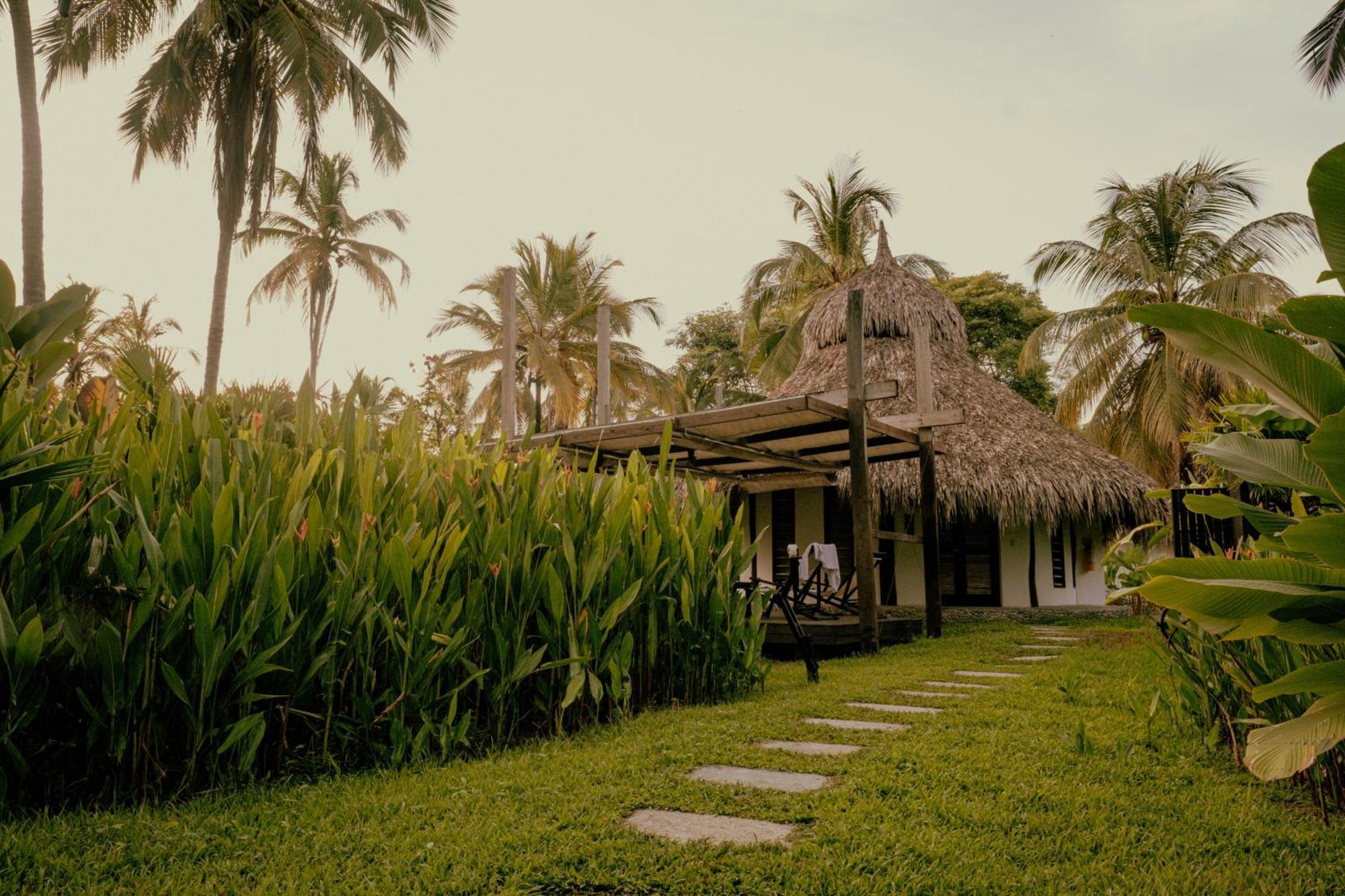 Viajero Tayrona Hostel & Ecohabs Buritaca Εξωτερικό φωτογραφία