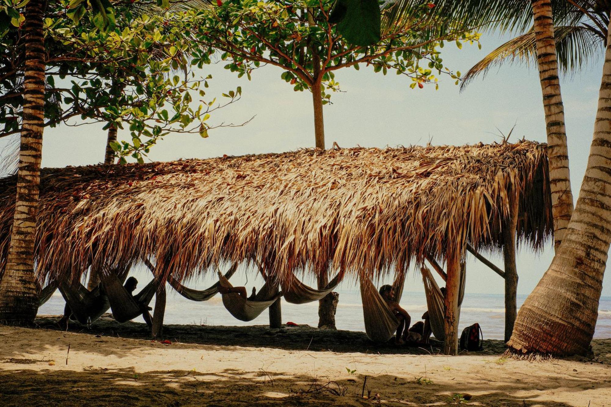 Viajero Tayrona Hostel & Ecohabs Buritaca Εξωτερικό φωτογραφία